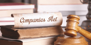 What Are the Roles of NCLT and NCLAT Under the Companies Act, 2013?